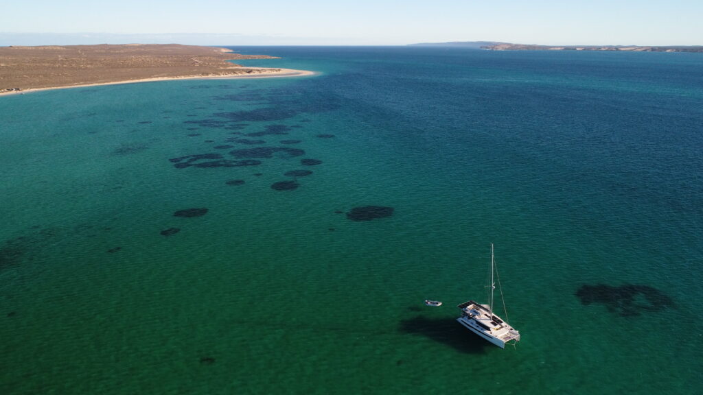 Eclipse Expeditions Fishing Charter Western Australia - Leopard 50